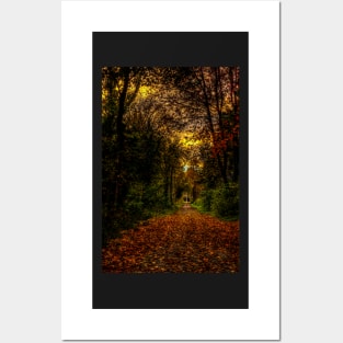 An Autumn Countryside Walk Posters and Art